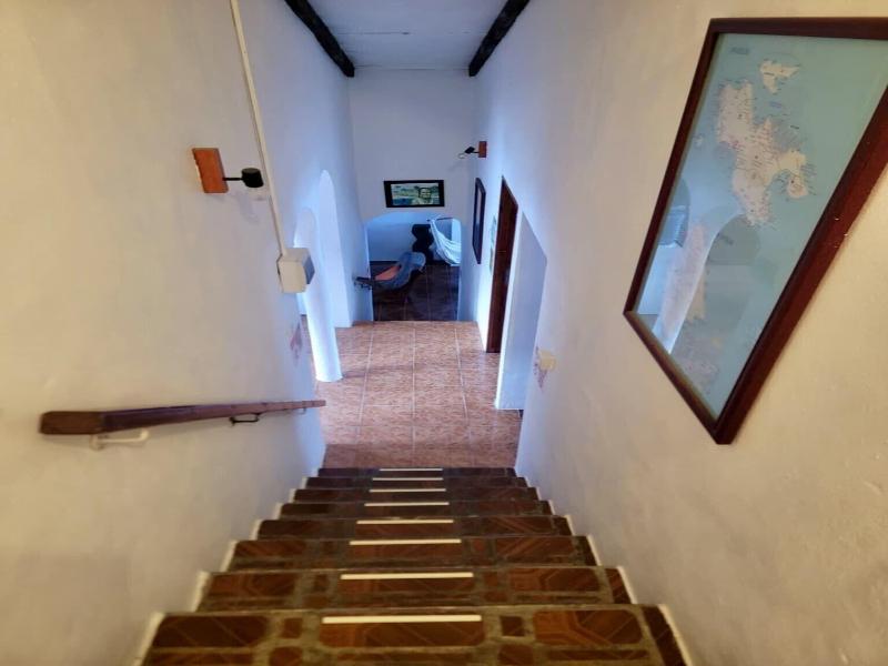 Papaya Guesthouse image