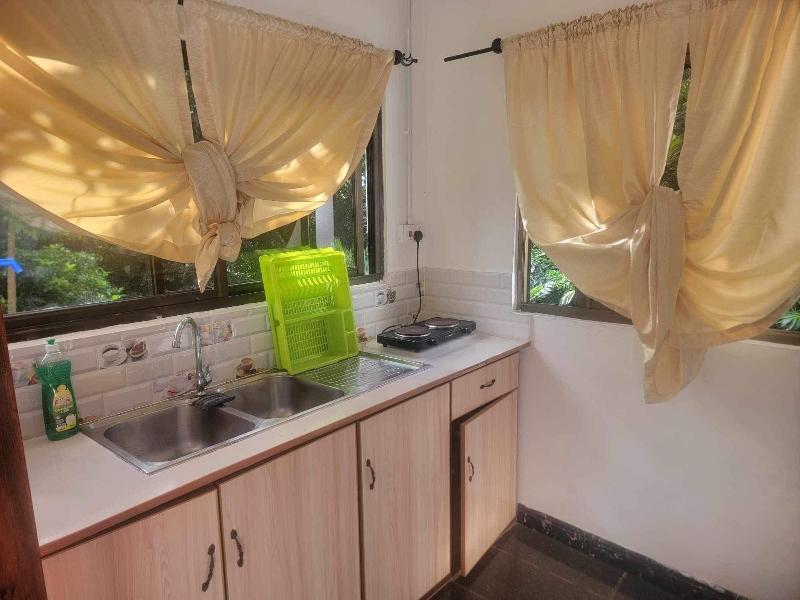 Papaya Guesthouse image