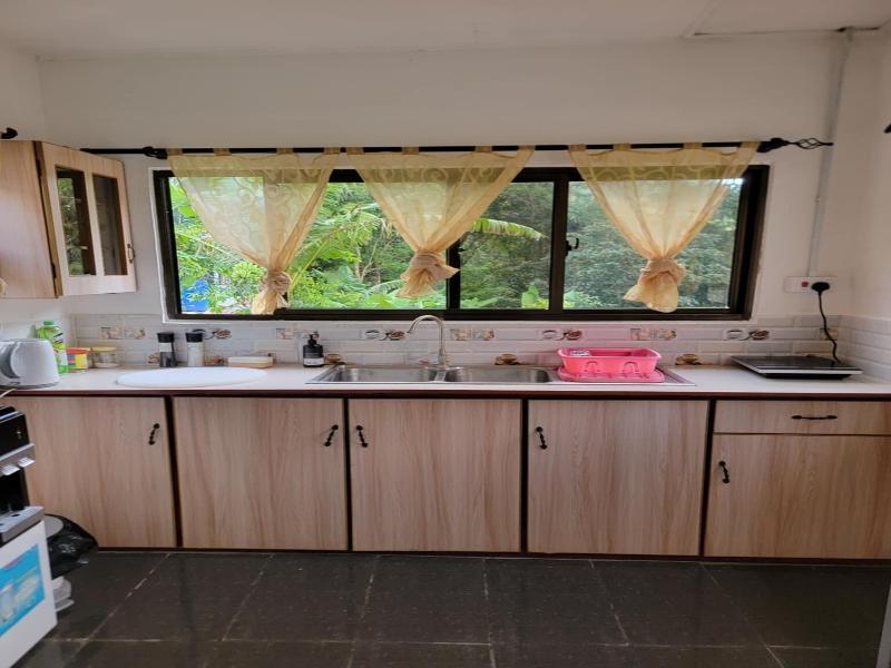 Papaya Guesthouse image