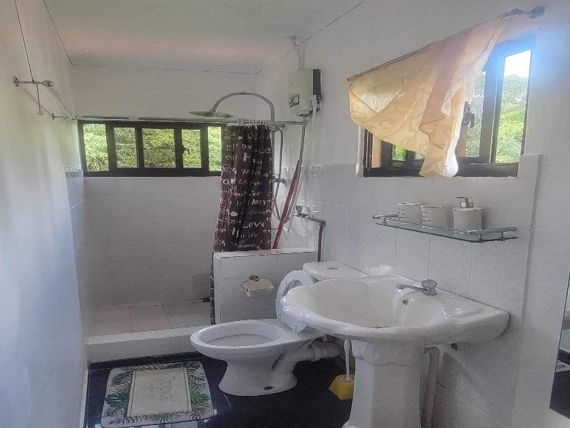 Papaya Guesthouse image