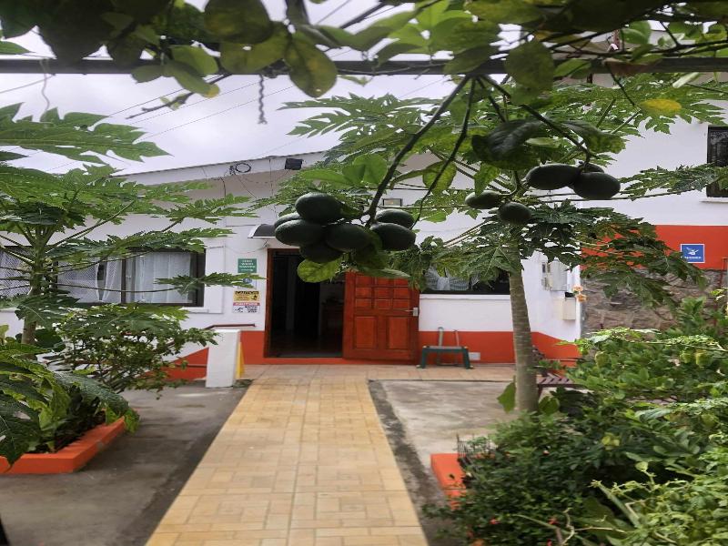 Papaya Guesthouse image