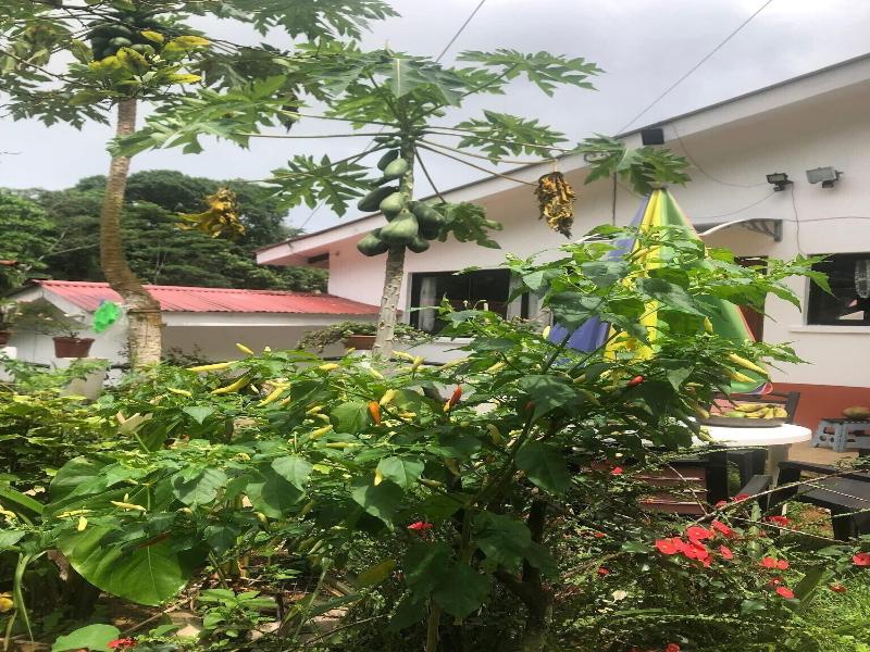 Papaya Guesthouse image