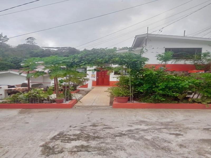 Papaya Guesthouse image