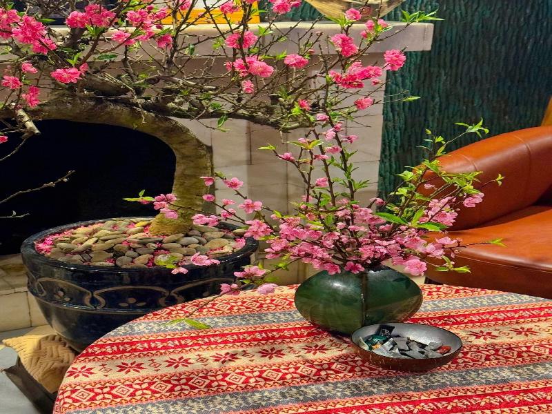 Eco Villas & Spa image