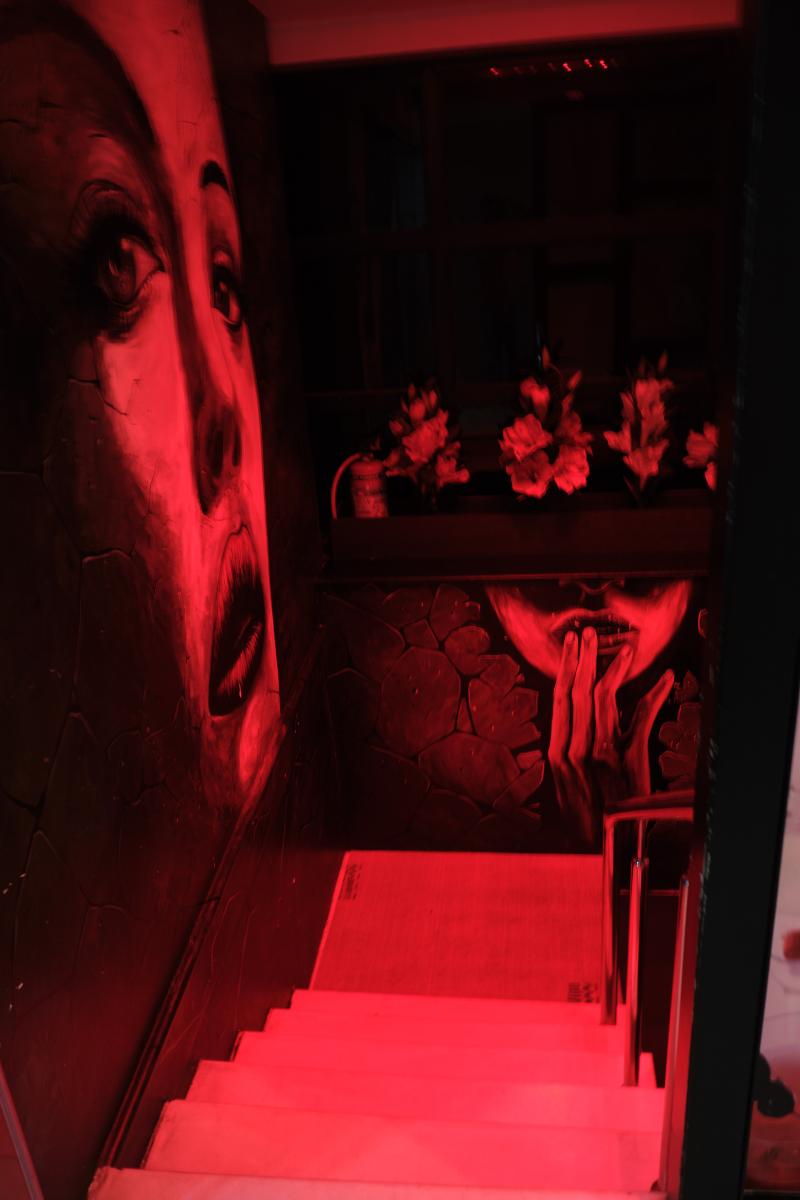 The Samilton image