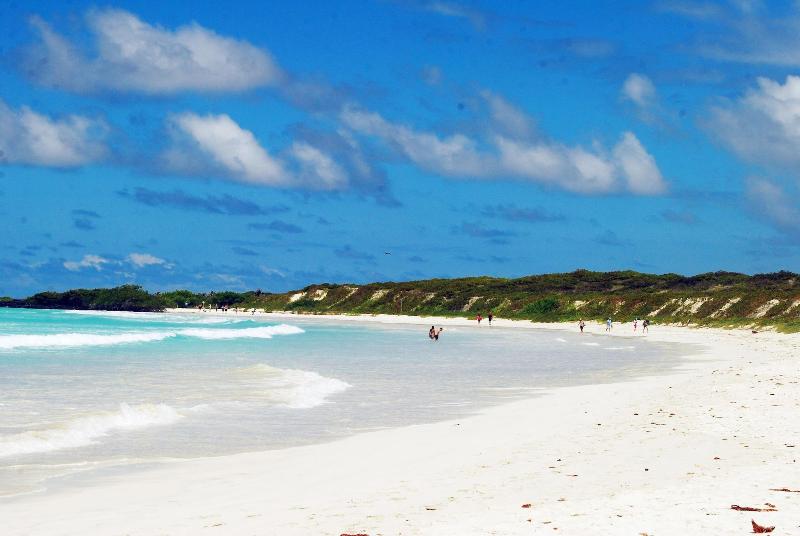 The Island Home image