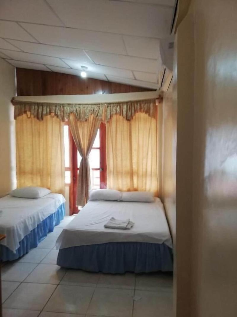 Hostal Miconia image