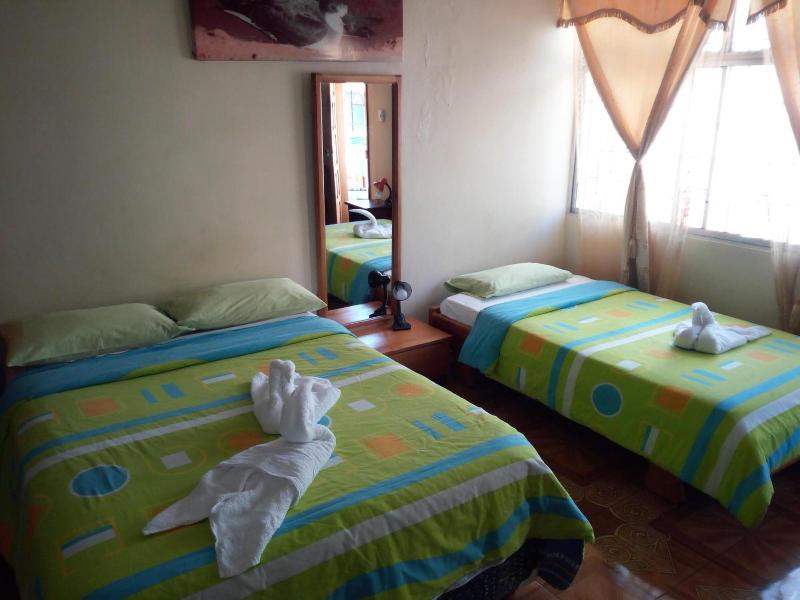 Hostal Miconia image