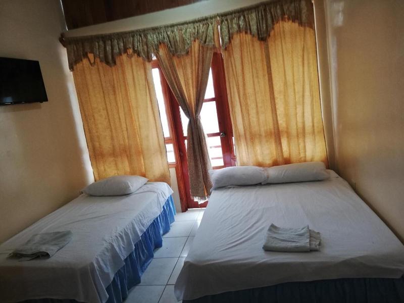 Hostal Miconia image