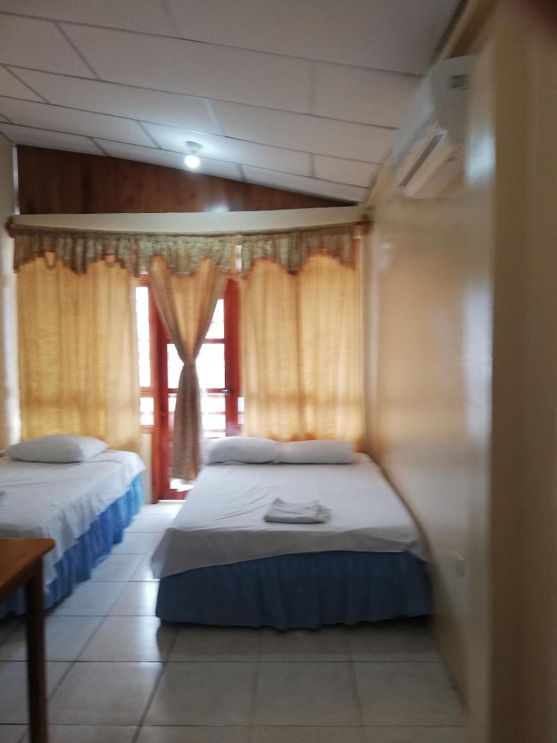 Hostal Miconia image