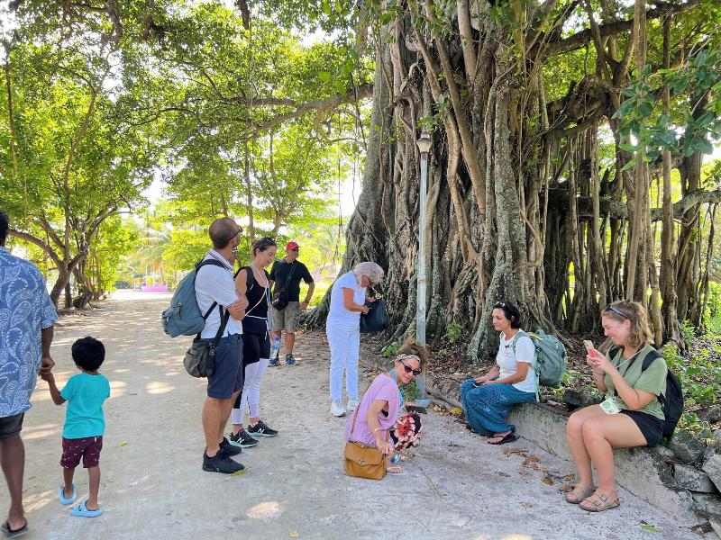 By The Shade image