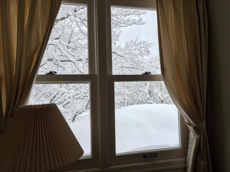 Guest House Bunk image