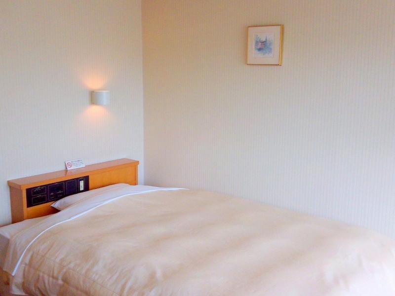 Okaya Central Hotel image