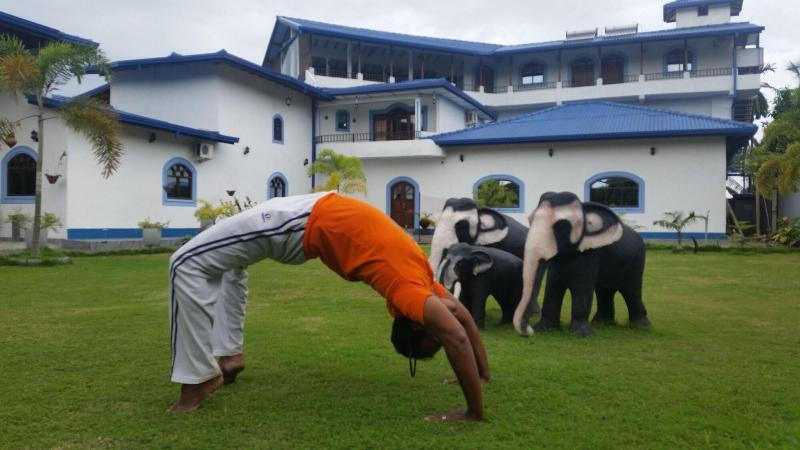Dhammika Magic Palace image