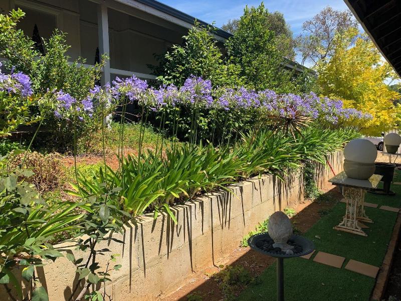 Bridgetown Valley Lodge