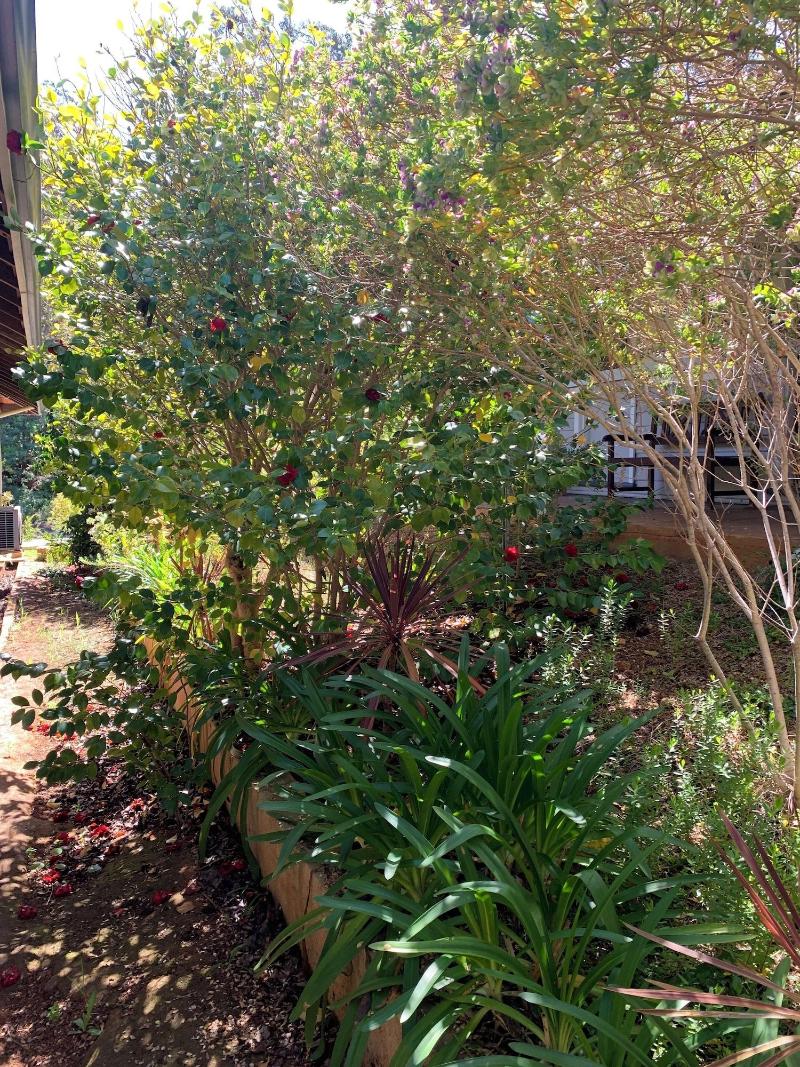 Bridgetown Valley Lodge
