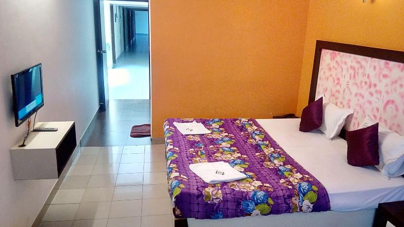 Hotel Luciya International image
