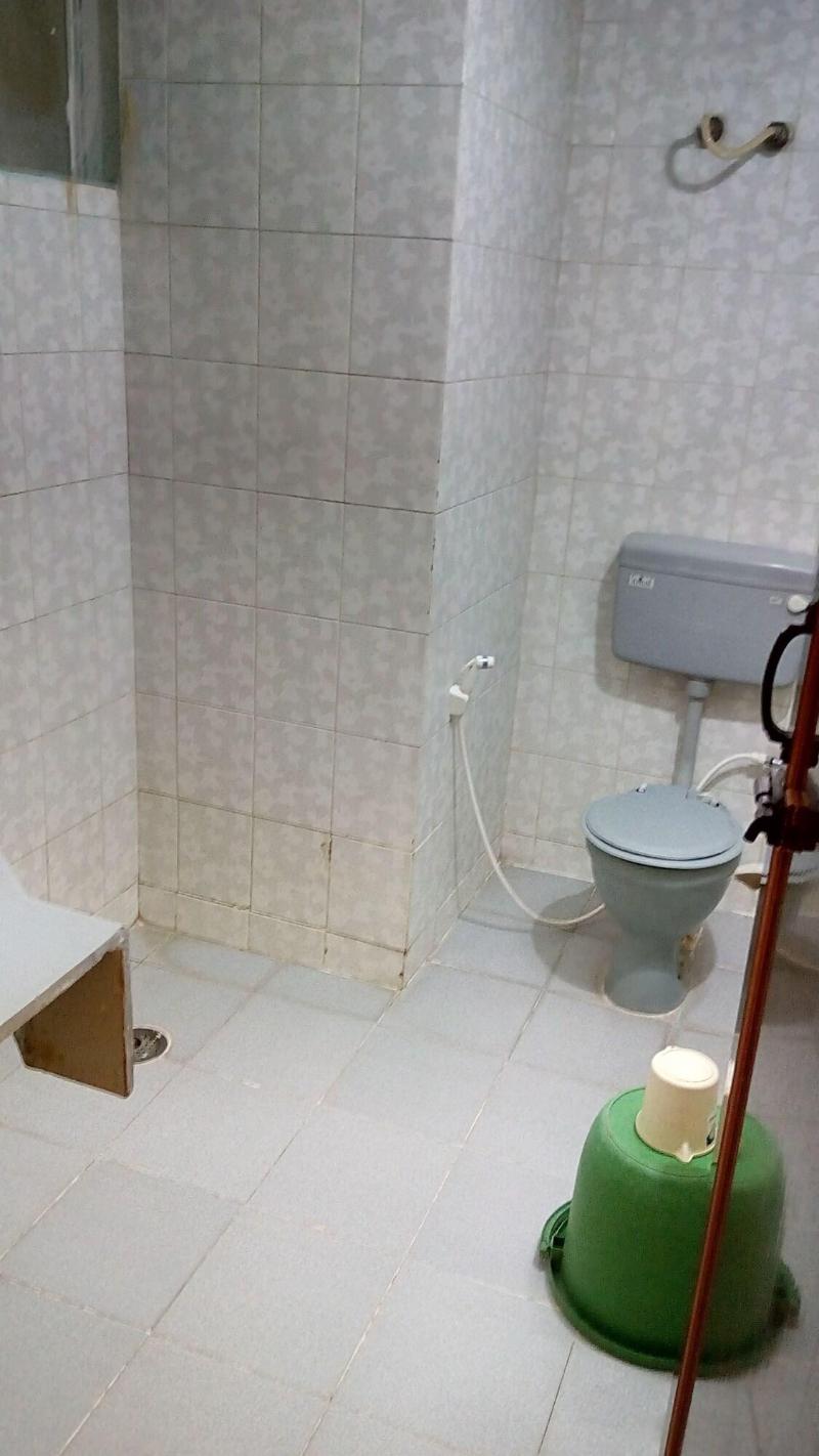 Hotel Luciya International image