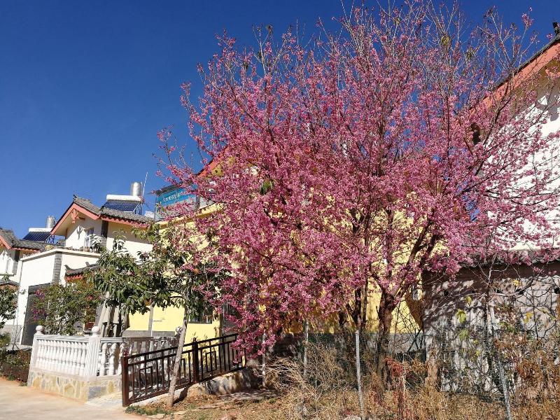 37 Garden Guesthouse Shilin Family — photo 22