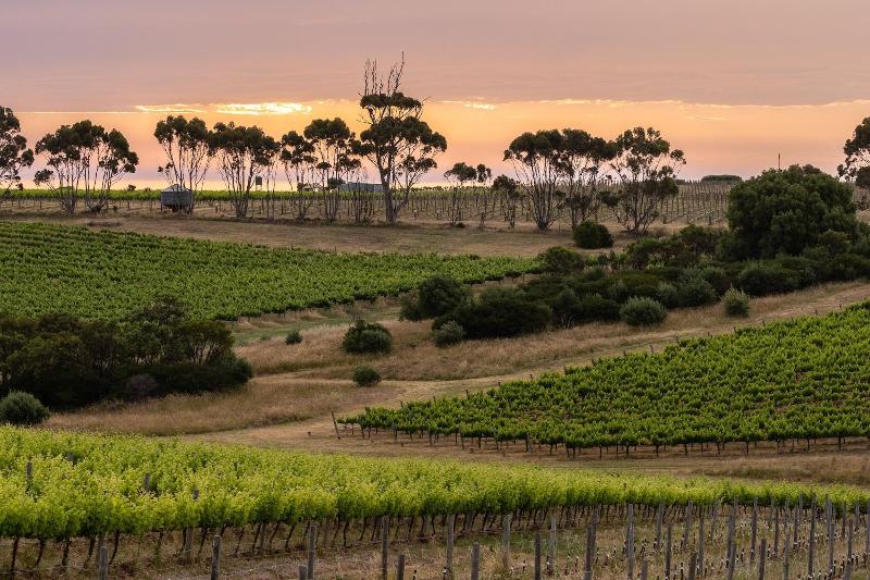 Hotel California Road Inkwell Wines