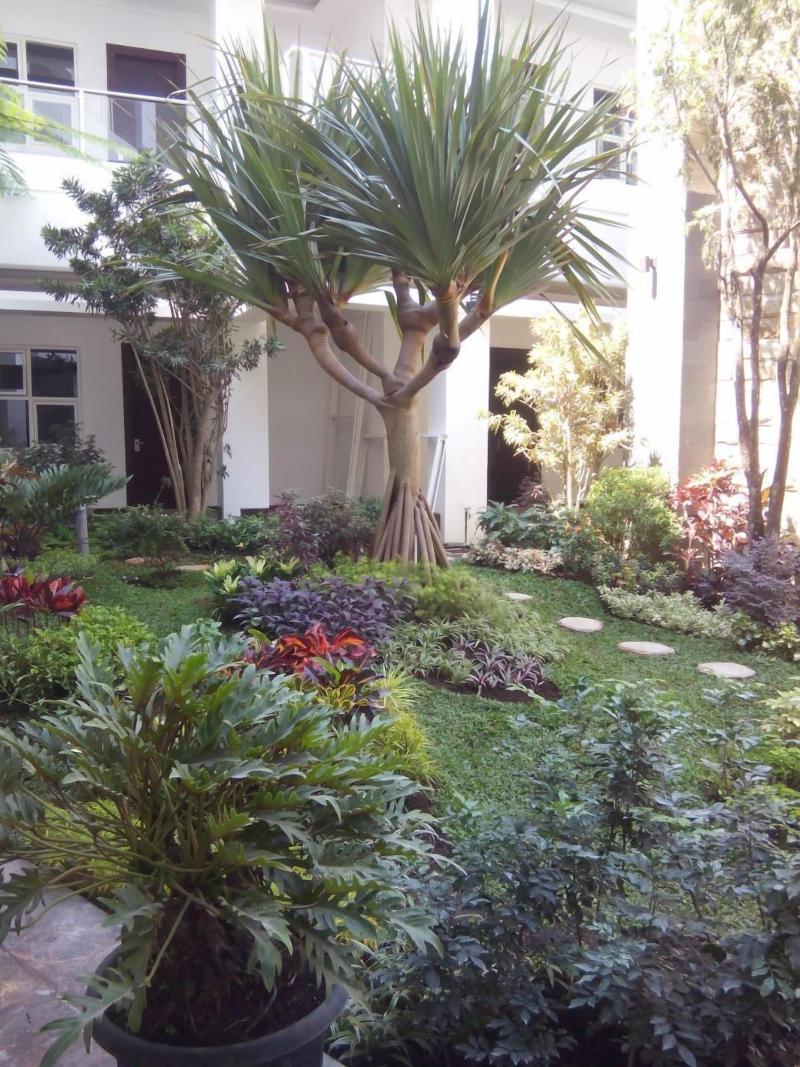 Tlogomas Guest House image