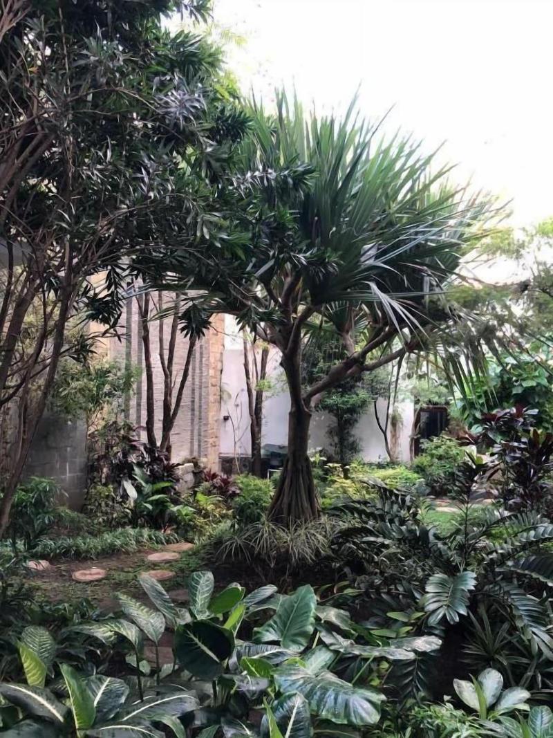 Tlogomas Guest House image