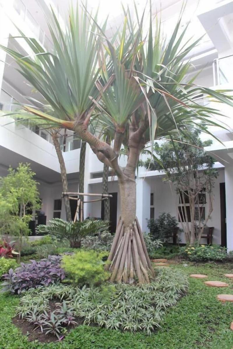 Tlogomas Guest House image