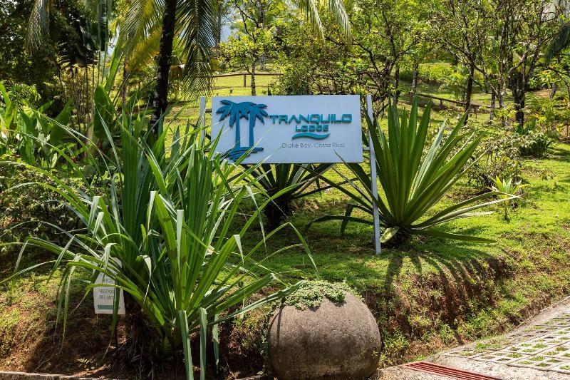 The Tranquilo Lodge - All meals included image