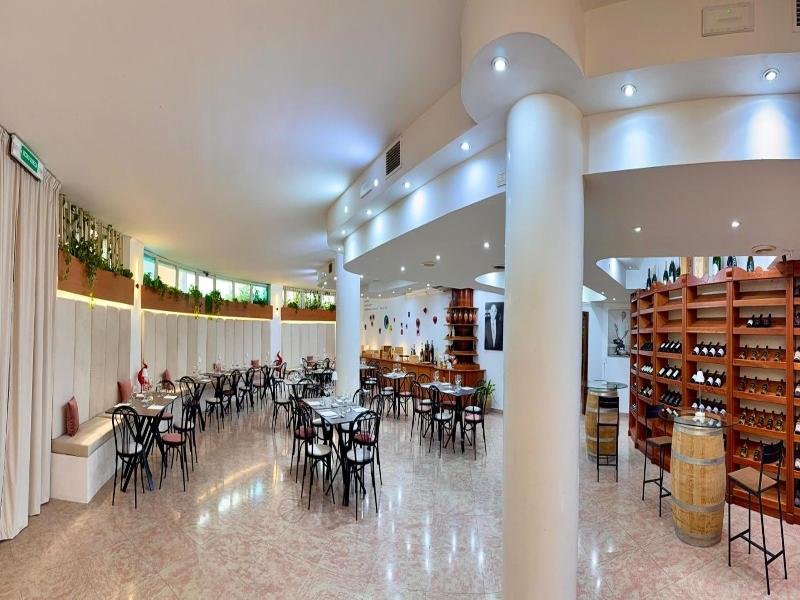 Hotel Sica image