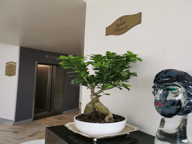 Hotel Sica image