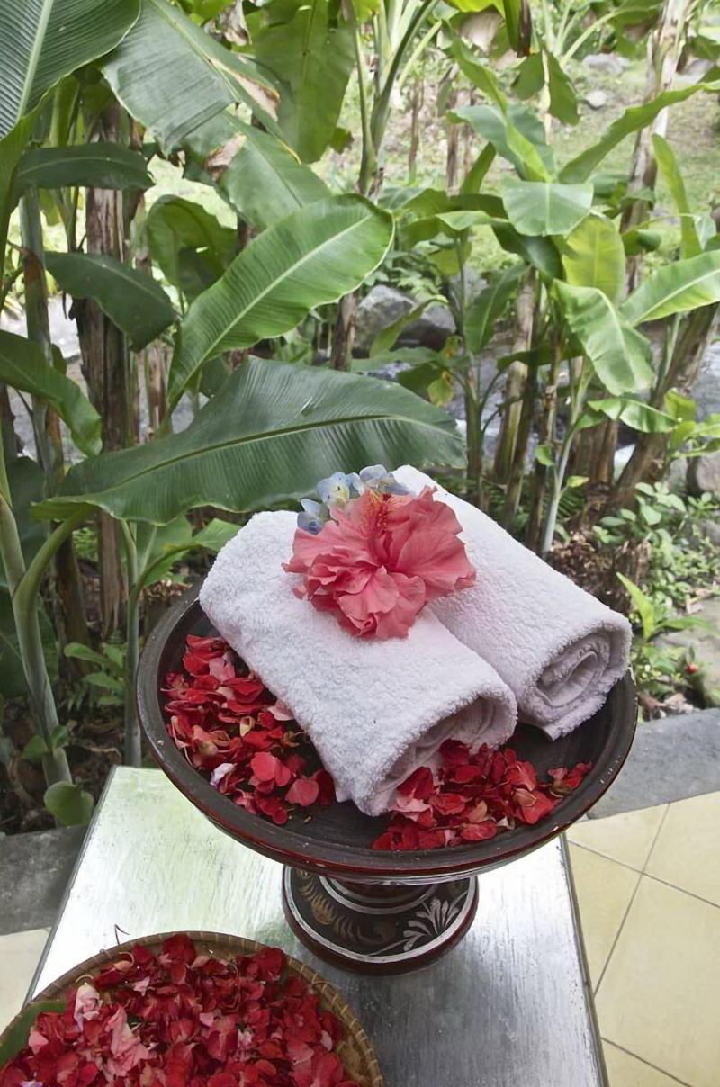Darmada Eco Resort image