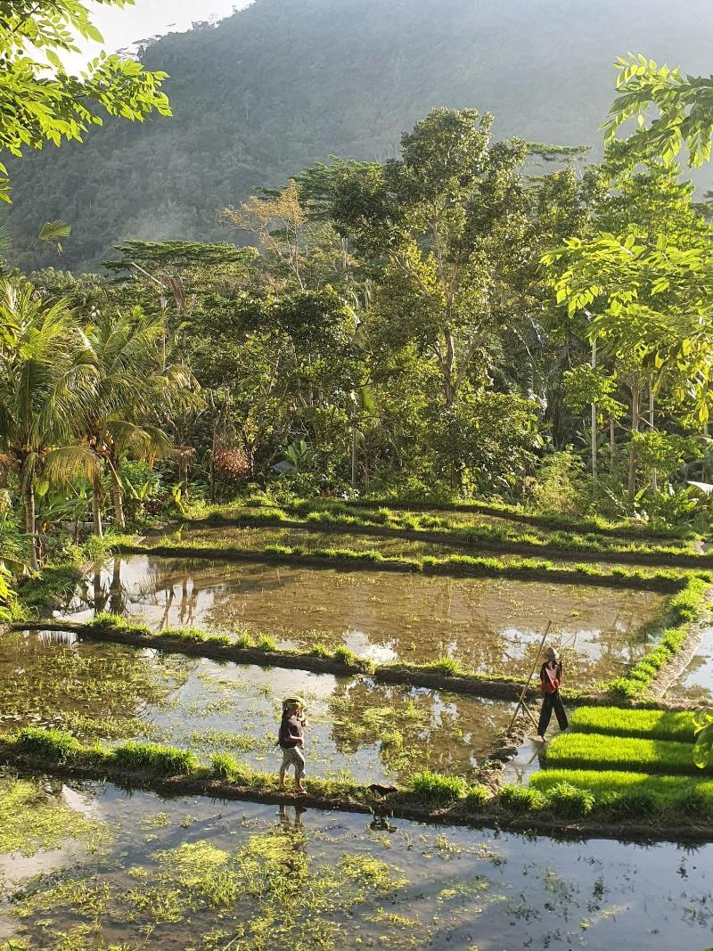 Darmada Eco Resort image