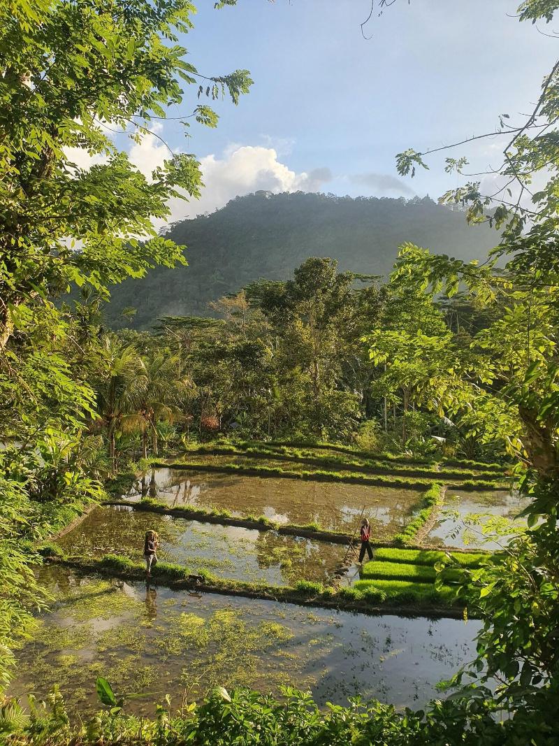 Darmada Eco Resort image