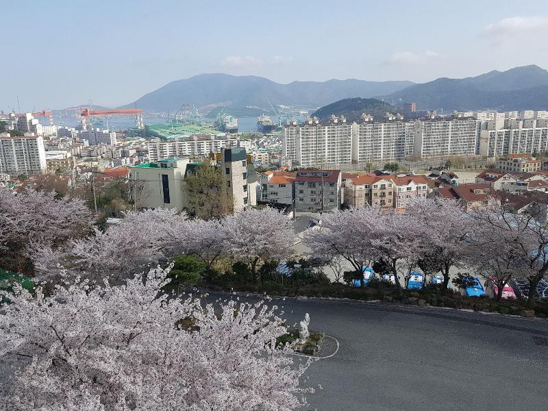 Geoje Oasis Hotel image