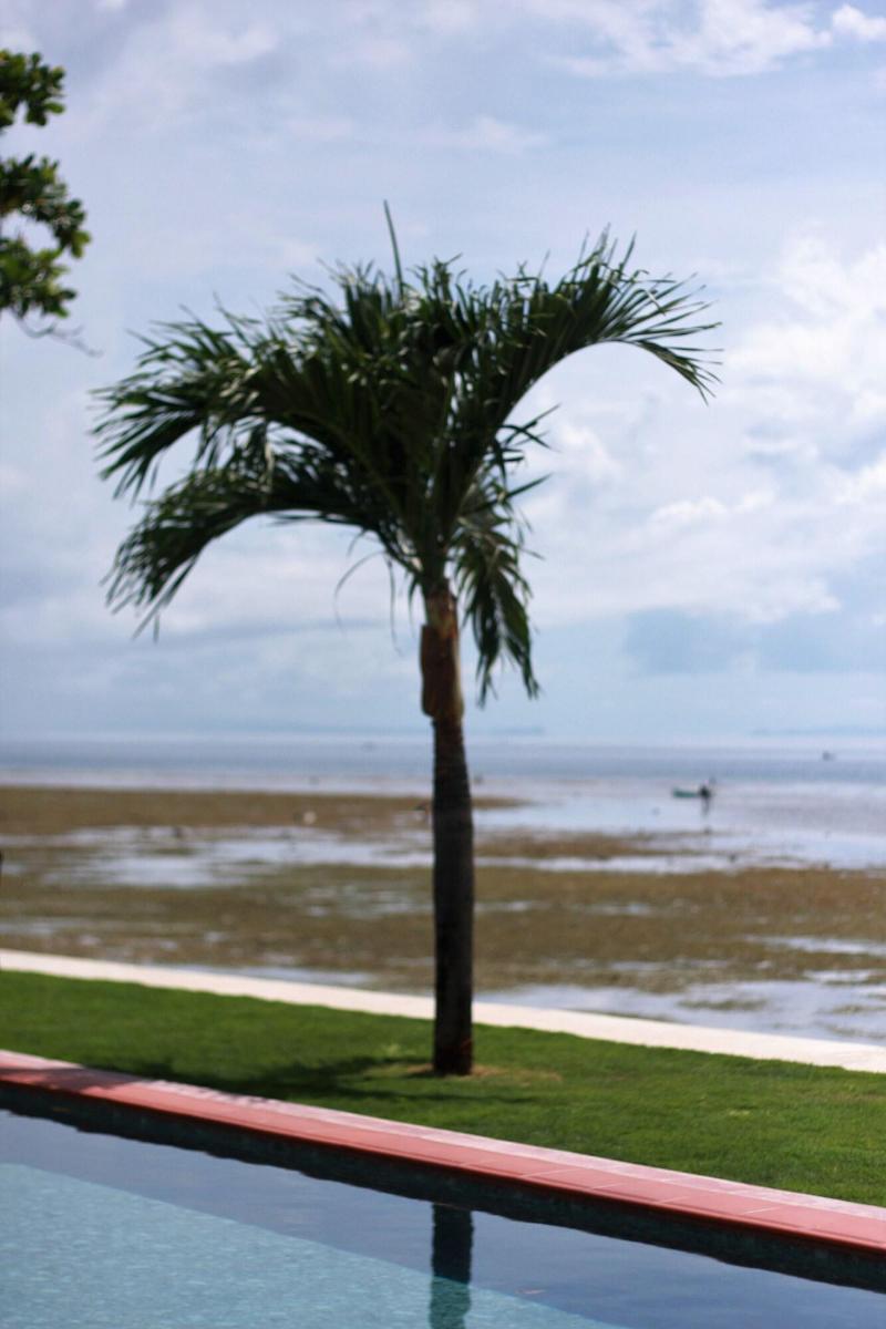The Beachhouse image