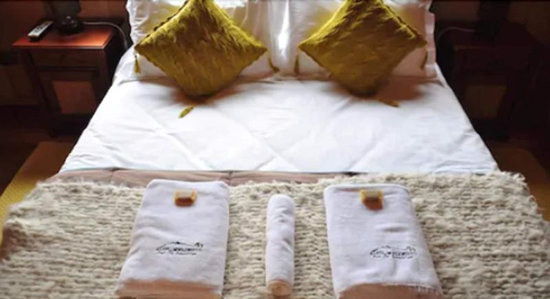 Hotel Alto Melimoyu image