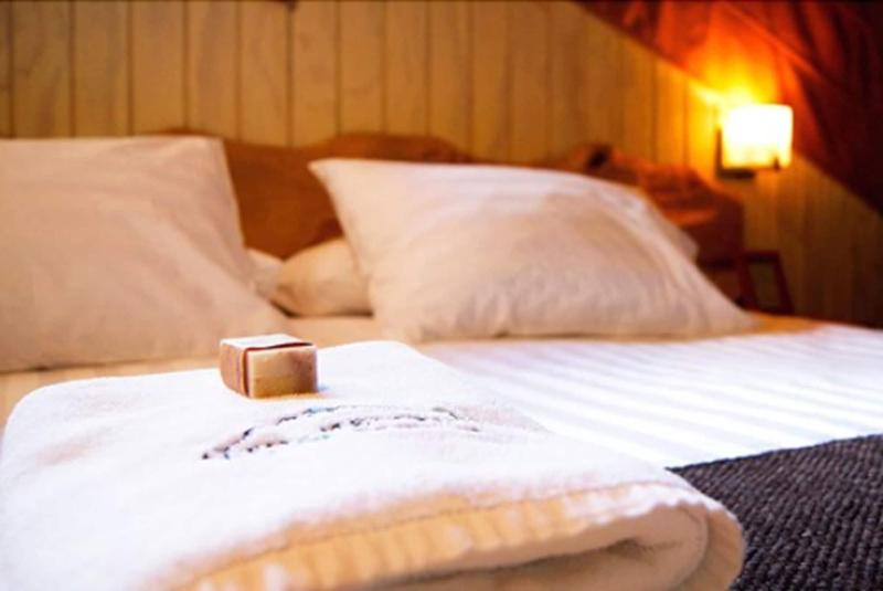 Hotel Alto Melimoyu image