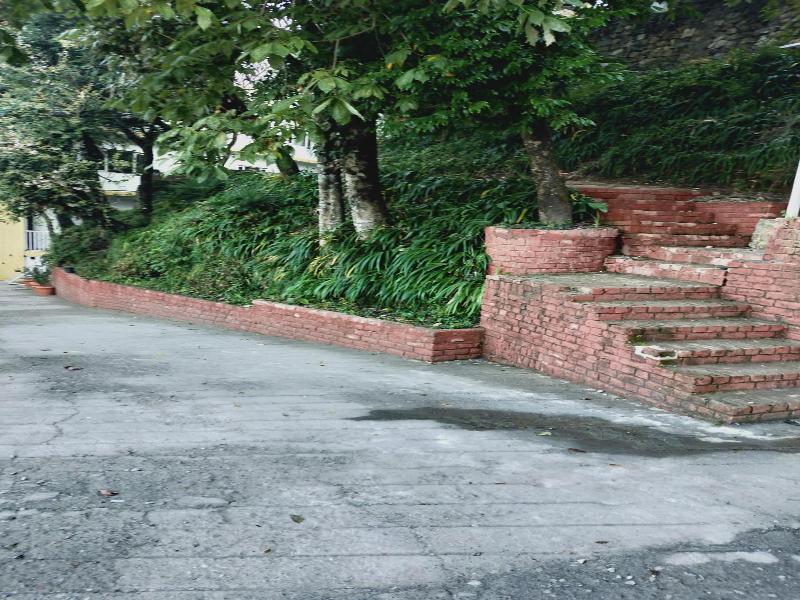 The Mountain Quail image