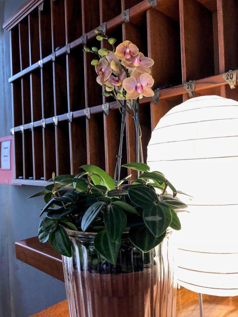 Hotel Aplō image
