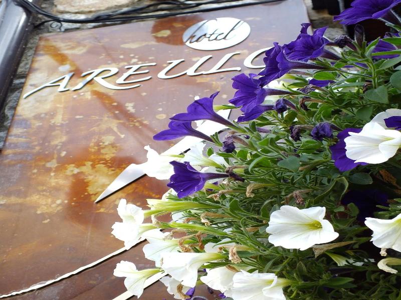 Hotel Areulo image