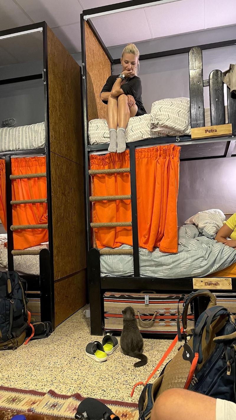 Carob Hostel image