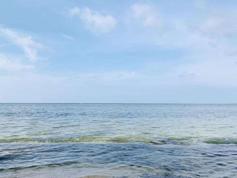 Villa Soledad Beach Resort image