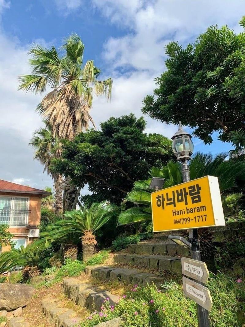 Jejuhanibaram image