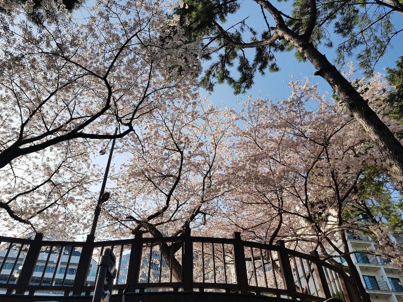 Suntree Hotel image