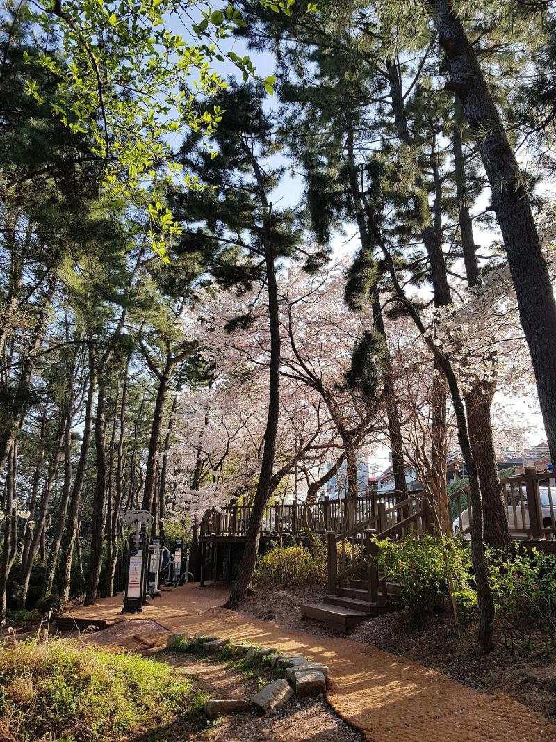 Suntree Hotel image