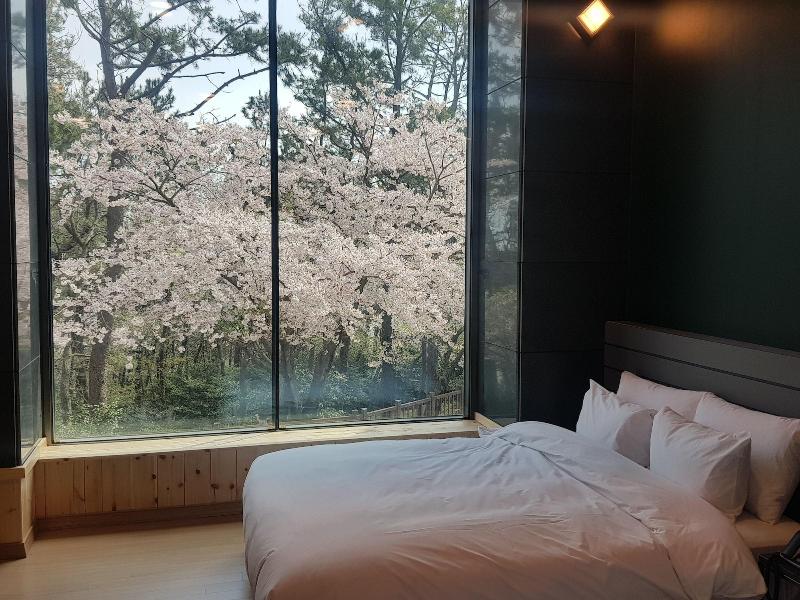 Suntree Hotel image