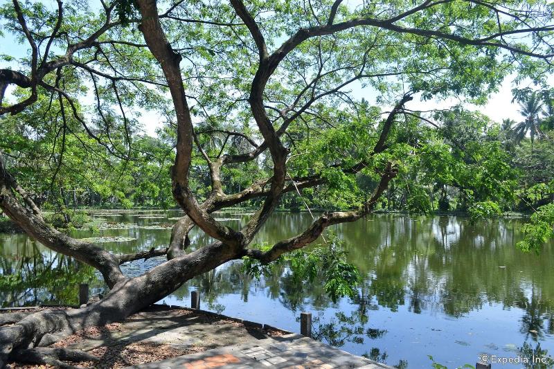 Amandari Cove