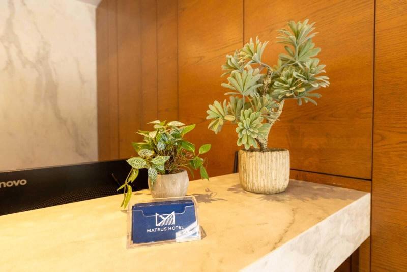 Mateus Hotel image