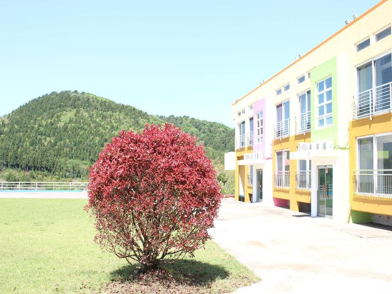 Geomunoreum Hostel — photo 33