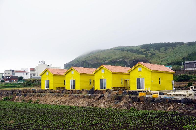 Udo Sunflower Pension And Guesthouse image
